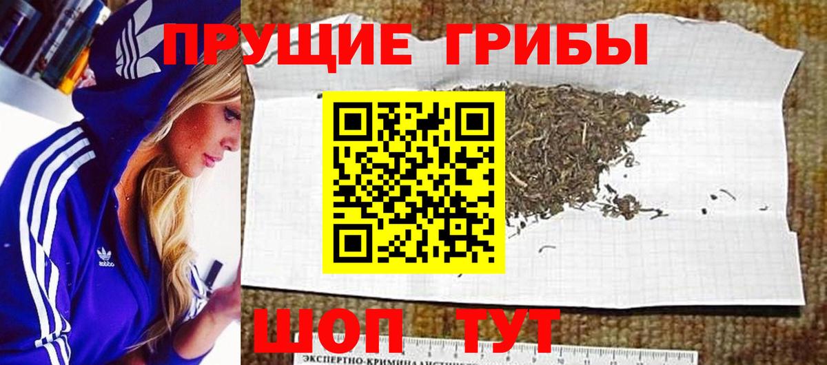 Псилоцибиновые грибы Назрань
