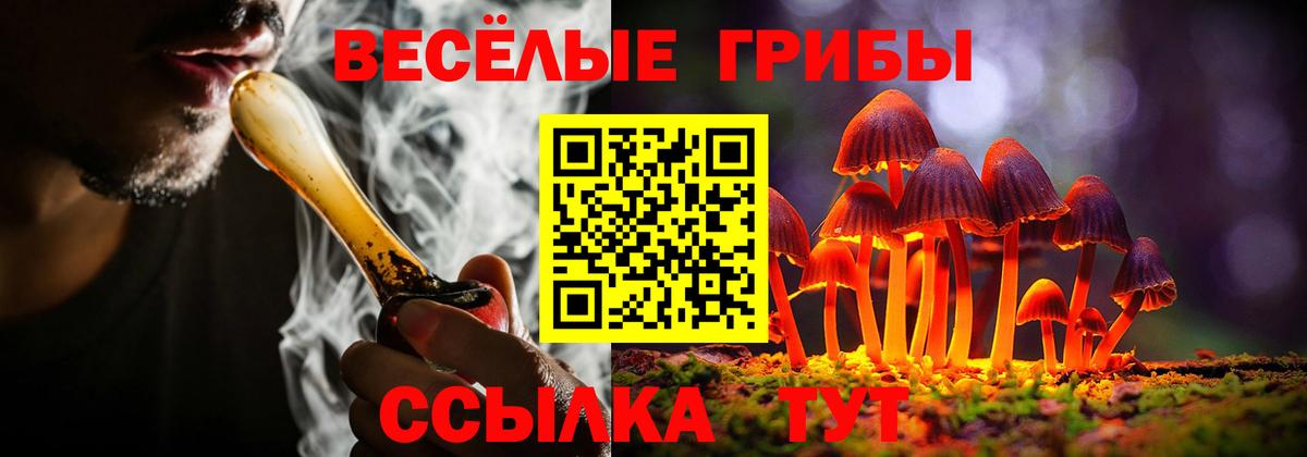 Галлюциногенные грибы Psilocybine cubensis Назрань